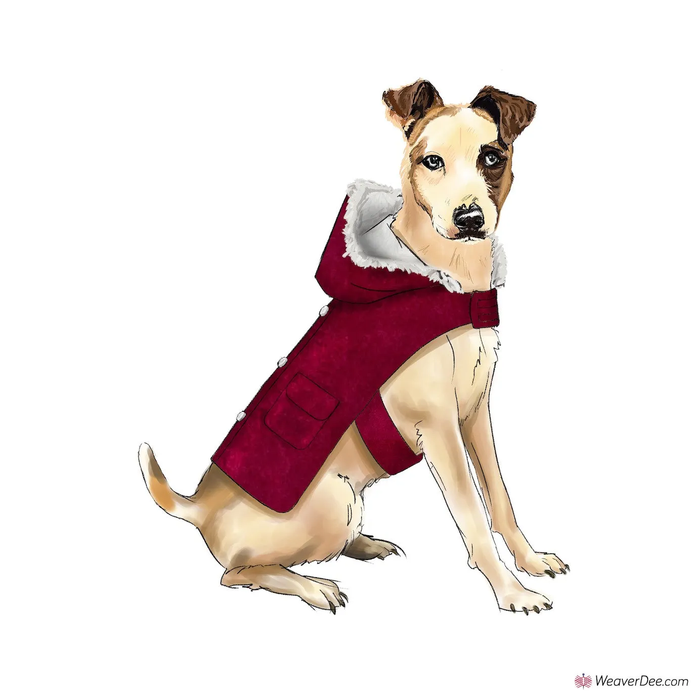 Simplicity Pattern S9416 Dog Coats