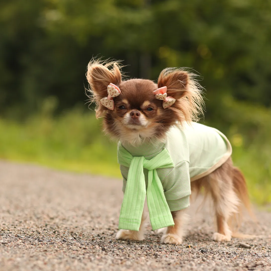 Striped Tee with Scarf - Green