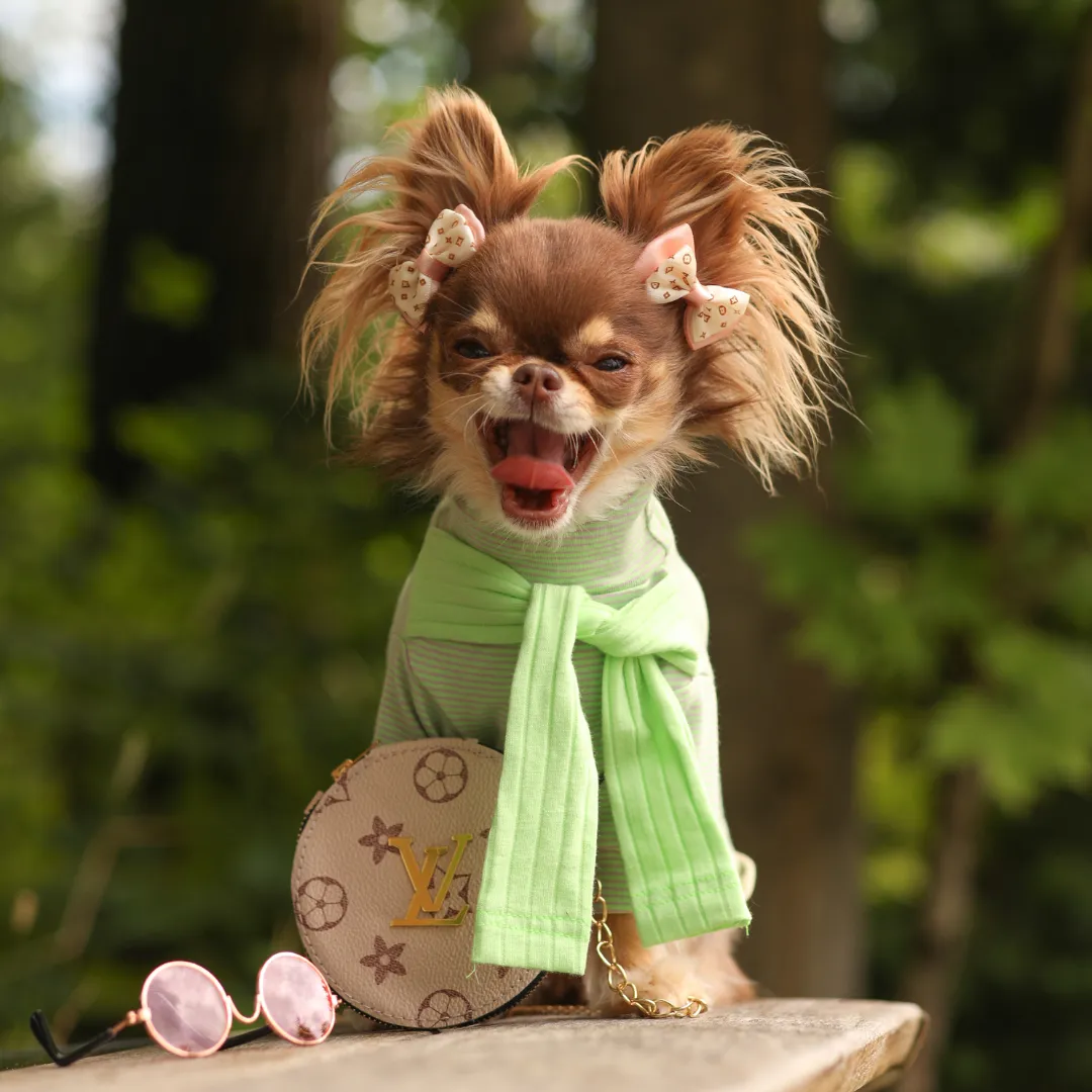 Striped Tee with Scarf - Green